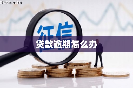 西双版纳贷款逾期怎么办