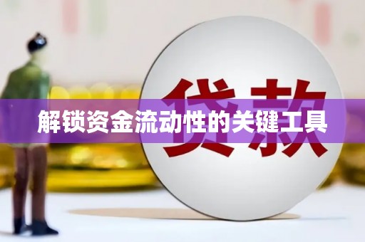 西双版纳解锁资金流动性的关键工具