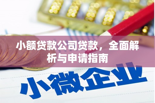 西双版纳小额贷款公司贷款，全面解析与申请指南