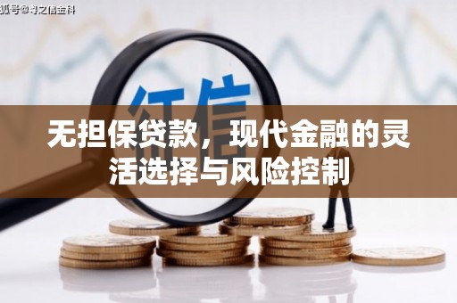 西双版纳无担保贷款，现代金融的灵活选择与风险控制