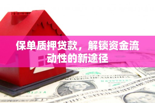 西双版纳保单质押贷款，解锁资金流动性的新途径