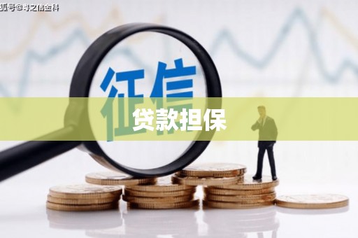 西双版纳贷款担保