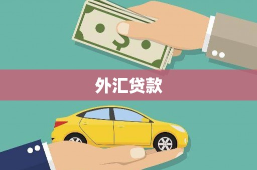 西双版纳外汇贷款