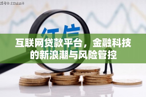 西双版纳互联网贷款平台，金融科技的新浪潮与风险管控