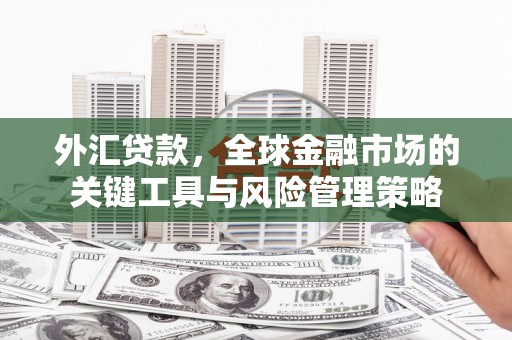西双版纳外汇贷款，全球金融市场的关键工具与风险管理策略