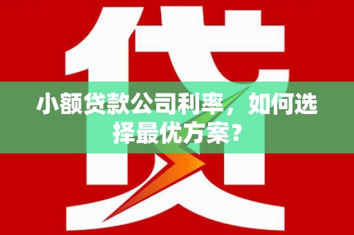 西双版纳小额贷款公司利率，如何选择最优方案？