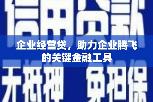 西双版纳企业经营贷，助力企业腾飞的关键金融工具