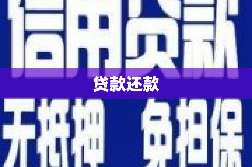 西双版纳贷款还款