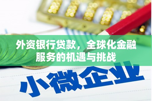 西双版纳外资银行贷款，全球化金融服务的机遇与挑战