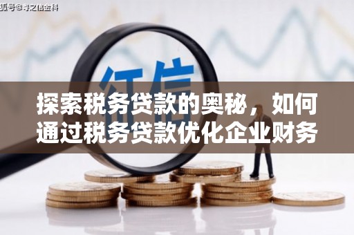 西双版纳探索税务贷款的奥秘，如何通过税务贷款优化企业财务