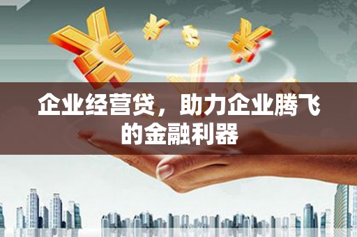 西双版纳企业经营贷，助力企业腾飞的金融利器