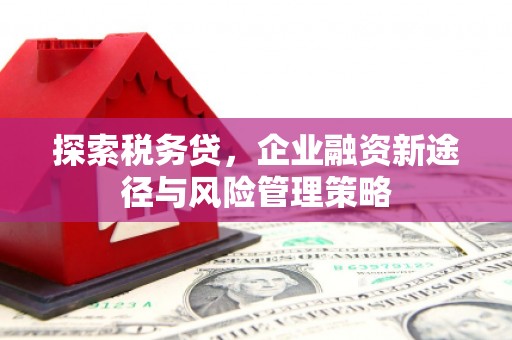 西双版纳探索税务贷，企业融资新途径与风险管理策略