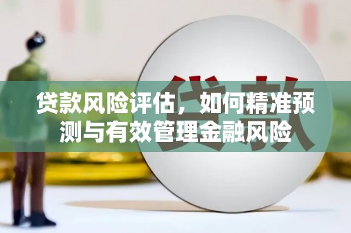 西双版纳贷款风险评估，如何精准预测与有效管理金融风险
