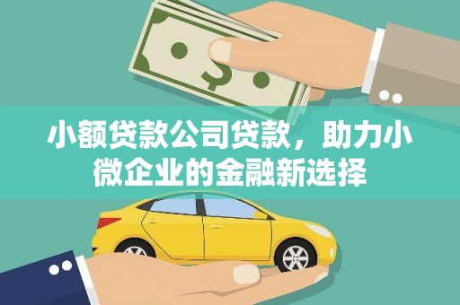 西双版纳小额贷款公司贷款，助力小微企业的金融新选择