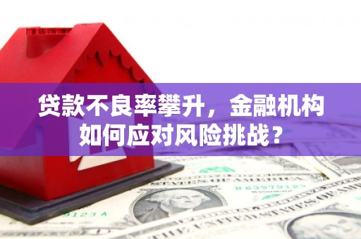 西双版纳贷款不良率攀升，金融机构如何应对风险挑战？
