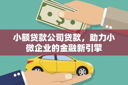 西双版纳小额贷款公司贷款，助力小微企业的金融新引擎