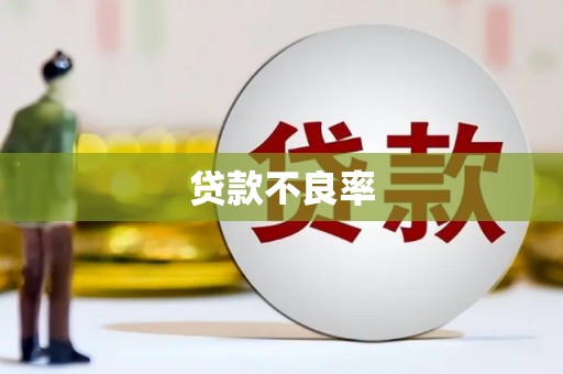 西双版纳贷款不良率
