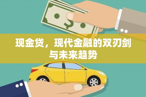 西双版纳现金贷，现代金融的双刃剑与未来趋势