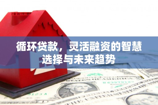 西双版纳循环贷款，灵活融资的智慧选择与未来趋势