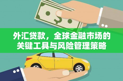西双版纳外汇贷款，全球金融市场的关键工具与风险管理策略
