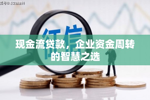 西双版纳现金流贷款，企业资金周转的智慧之选