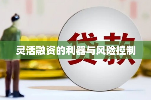 西双版纳灵活融资的利器与风险控制