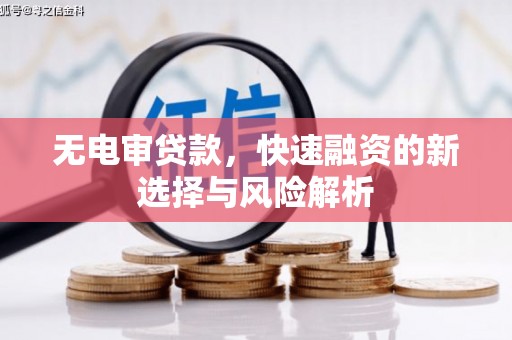 西双版纳无电审贷款，快速融资的新选择与风险解析