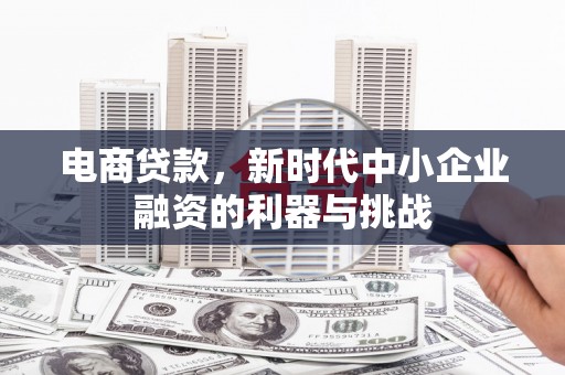 西双版纳电商贷款，新时代中小企业融资的利器与挑战