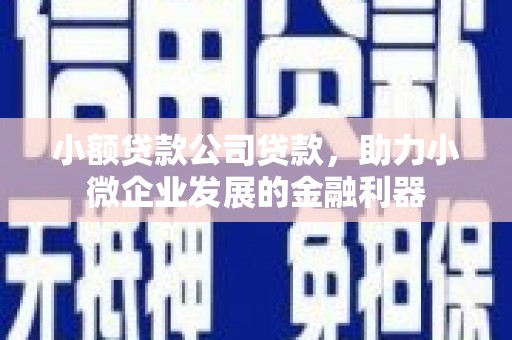 西双版纳小额贷款公司贷款，助力小微企业发展的金融利器
