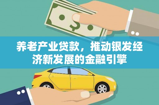 西双版纳养老产业贷款，推动银发经济新发展的金融引擎