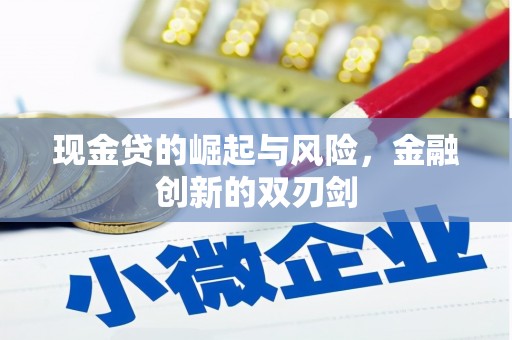 西双版纳现金贷的崛起与风险，金融创新的双刃剑