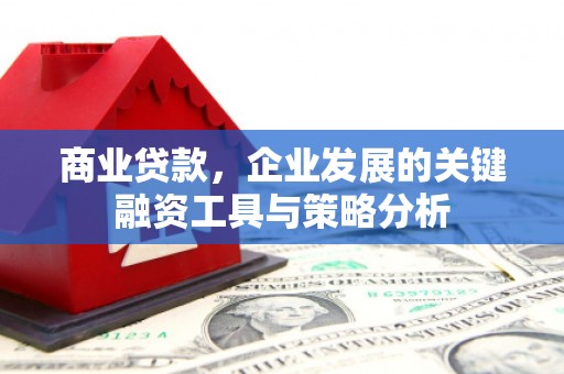 西双版纳商业贷款，企业发展的关键融资工具与策略分析