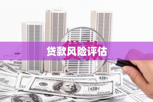 西双版纳贷款风险评估