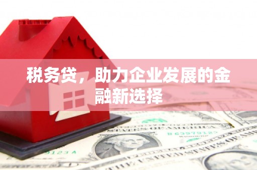西双版纳税务贷，助力企业发展的金融新选择