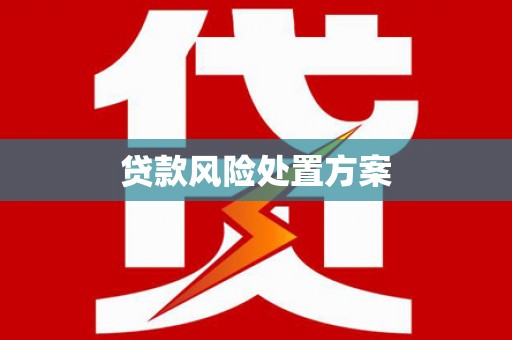 西双版纳贷款风险处置方案
