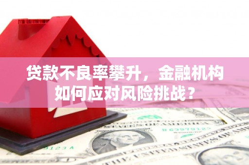 西双版纳贷款不良率攀升，金融机构如何应对风险挑战？