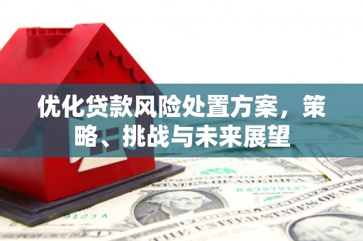 西双版纳优化贷款风险处置方案，策略、挑战与未来展望