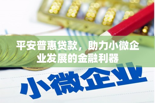 西双版纳平安普惠贷款，助力小微企业发展的金融利器