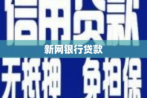 西双版纳新网银行贷款