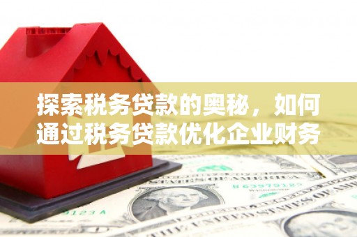 西双版纳探索税务贷款的奥秘，如何通过税务贷款优化企业财务