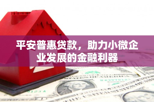 西双版纳平安普惠贷款，助力小微企业发展的金融利器