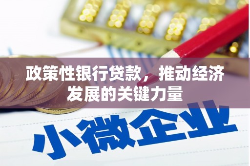 西双版纳政策性银行贷款，推动经济发展的关键力量