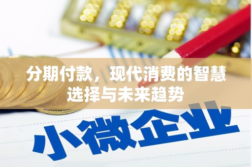 西双版纳分期付款，现代消费的智慧选择与未来趋势