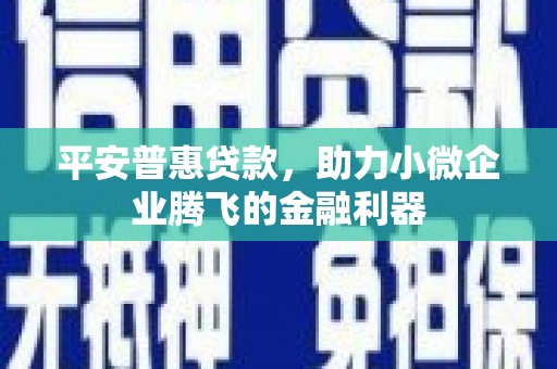 西双版纳平安普惠贷款，助力小微企业腾飞的金融利器