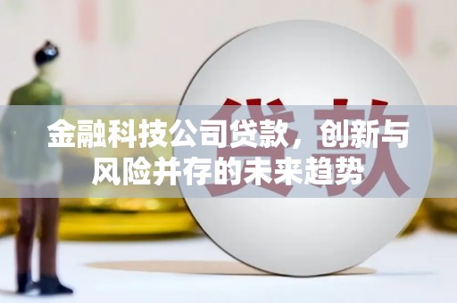 西双版纳金融科技公司贷款，创新与风险并存的未来趋势