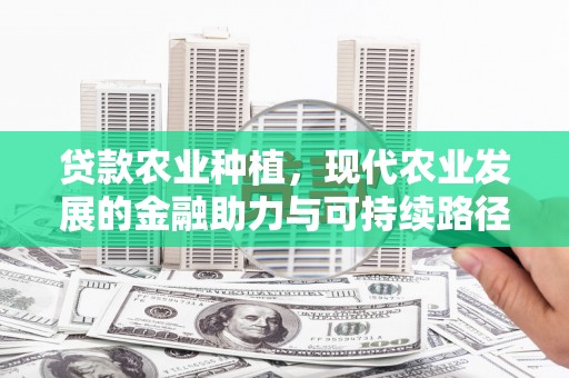 西双版纳贷款农业种植，现代农业发展的金融助力与可持续路径
