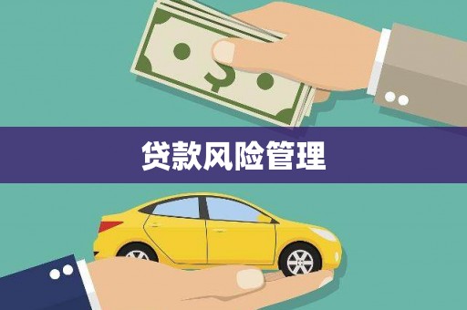 西双版纳贷款风险管理