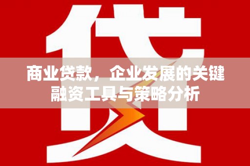 西双版纳商业贷款，企业发展的关键融资工具与策略分析