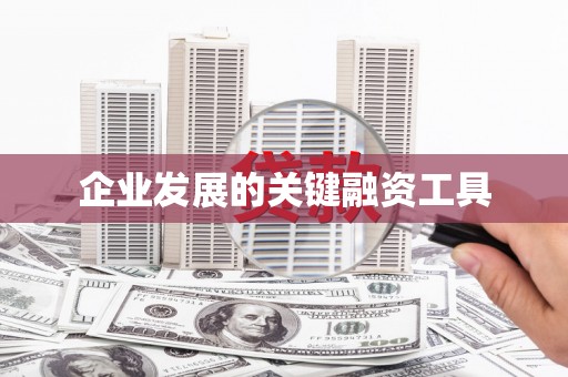 西双版纳企业发展的关键融资工具