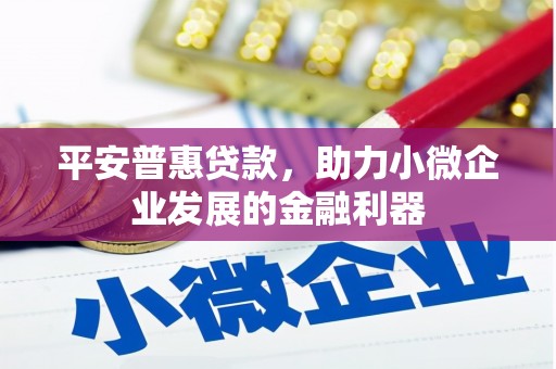 西双版纳平安普惠贷款，助力小微企业发展的金融利器